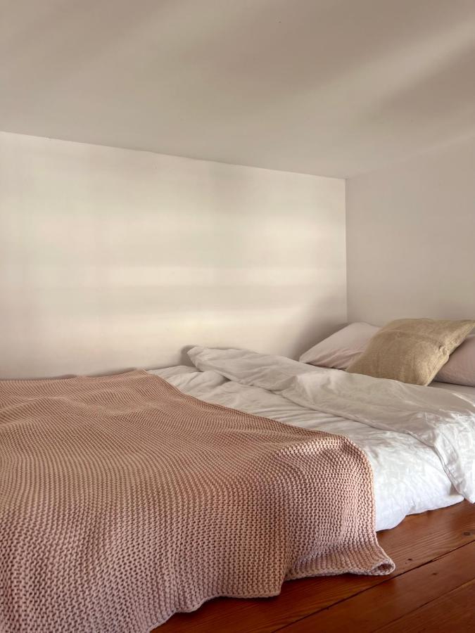 Chic Apartment In The Center Of Cracow Krakow Dış mekan fotoğraf